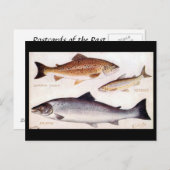 Oud Briefkaart - forel, verkoper en zalm (Voorkant / Achterkant)