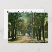 Oud Briefkaart - Fredericton, New Brunswick (Voorkant / Achterkant)