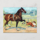 Oud Briefkaart - Hackney Stallion (Voorkant)