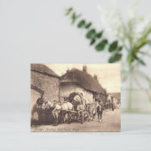 Oud Briefkaart - Maiden Newton, Dorset (Staand voorkant)