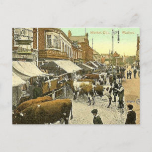 Oud Briefkaart - Marktdag, Watford, Herts
