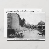 Oud Briefkaart - N Katoewoudhonden, breedband (Voorkant / Achterkant)
