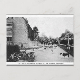 Oud Briefkaart - N Katoewoudhonden, breedband