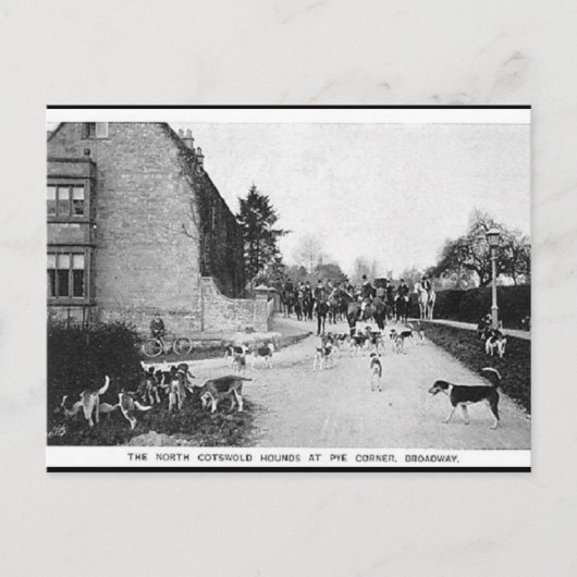 Oud Briefkaart - N Katoewoudhonden, breedband (Voorkant)