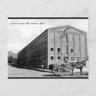 Oud Briefkaart - Natchez, Mississippi