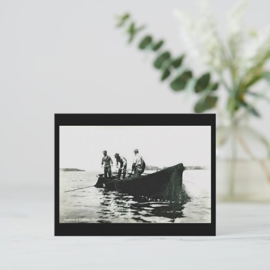 Oud Briefkaart - Newfoundland, kabeljauw Gevist (Staand voorkant)