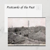 Oud Briefkaart - Noordelijke katoenhunt, Breedweg (Voorkant / Achterkant)