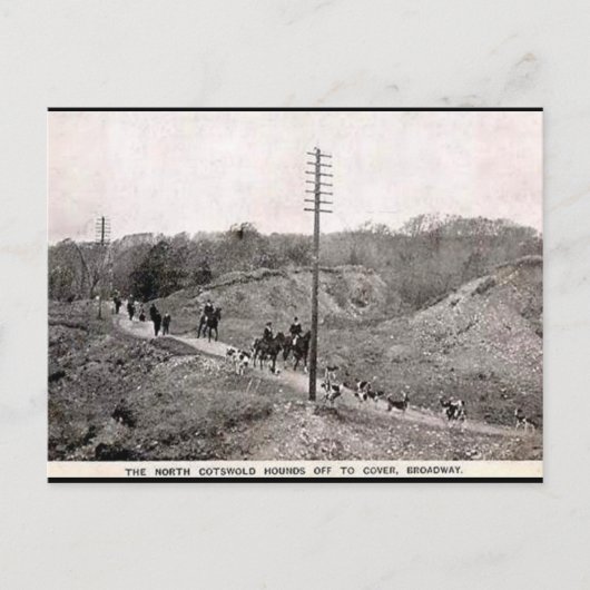 Oud Briefkaart - Noordelijke katoenhunt, Breedweg (Voorkant)