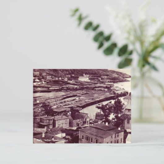 Oud Briefkaart - Petty Harbour, Newfoundland (Staand voorkant)
