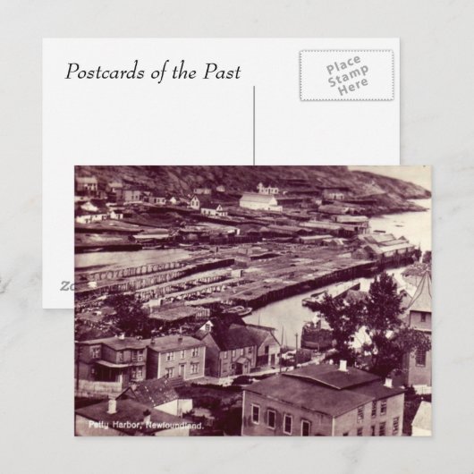 Oud Briefkaart - Petty Harbour, Newfoundland (Voorkant / Achterkant)