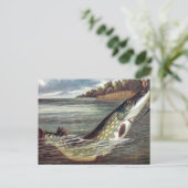 Oud Briefkaart - Pike (Staand voorkant)