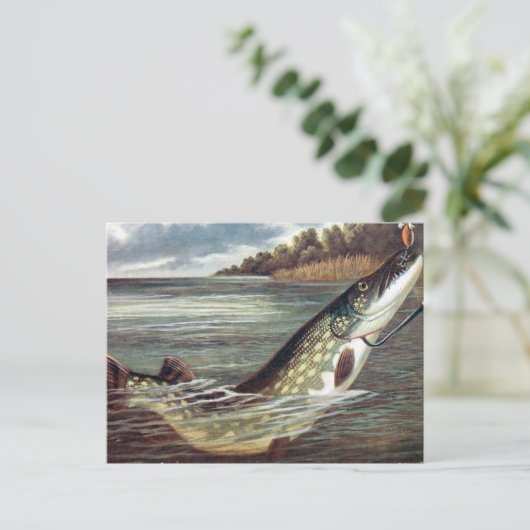 Oud Briefkaart - Pike (Staand voorkant)