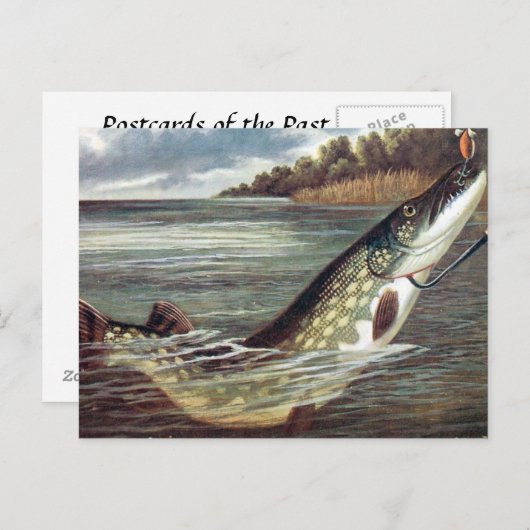 Oud Briefkaart - Pike (Voorkant / Achterkant)