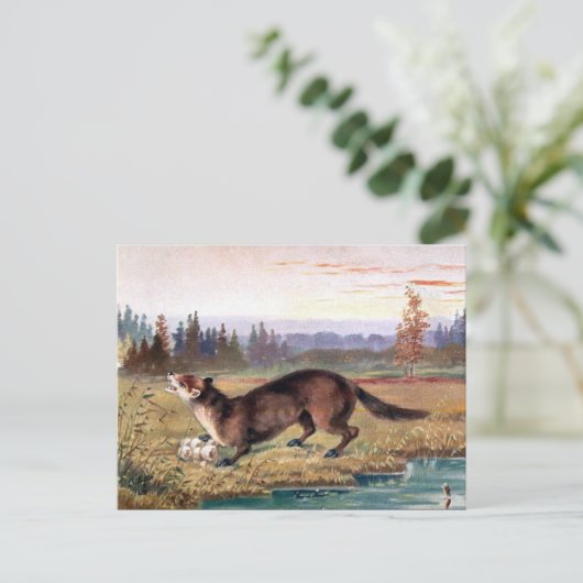 Oud Briefkaart - Pine Marten (Staand voorkant)