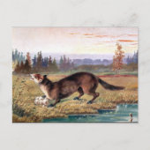 Oud Briefkaart - Pine Marten (Voorkant)