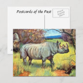 Oud Briefkaart - Rhinoceros (Voorkant / Achterkant)