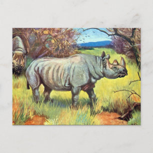 Oud Briefkaart - Rhinoceros