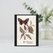Oud Briefkaart - Rood admiraal (Staand voorkant)
