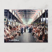 Oud Briefkaart - Saint John, New Brunswick (Voorkant)