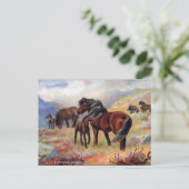 Oud Briefkaart - Shetland Ponies (Staand voorkant)