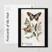 Oud Briefkaart - slibstaart (Voorkant / Achterkant)