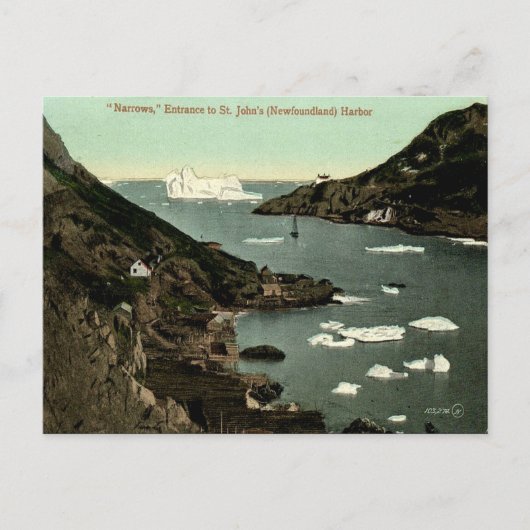 Oud Briefkaart - St. John's, Newfoundland (Voorkant)