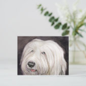 Oud Briefkaart van Sheepdog Art (Staand voorkant)