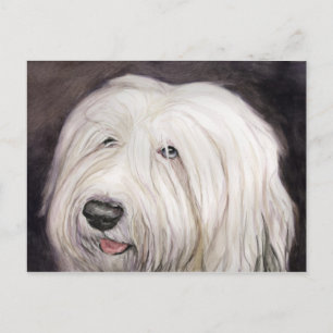 Oud Briefkaart van Sheepdog Art
