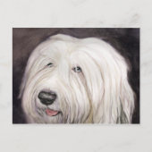 Oud Briefkaart van Sheepdog Art (Voorkant)