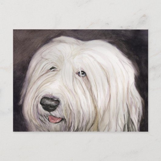 Oud Briefkaart van Sheepdog Art (Voorkant)