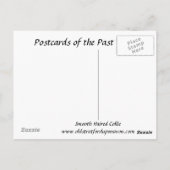 Oud Briefkaart - Vloeiende gepaarde collie (Achterkant)