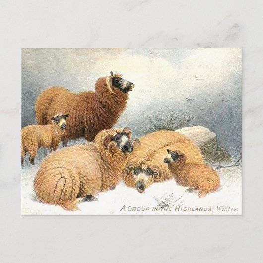 Oud Briefkaart - Winter (Voorkant)