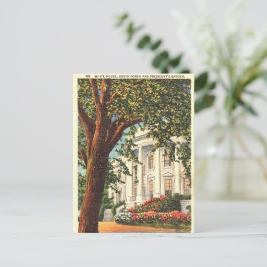 Oud Briefkaart - Witte Huis, Washington, DC (Staand voorkant)