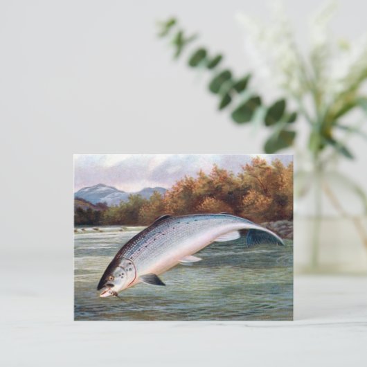 Oud Briefkaart - Zalm (Staand voorkant)