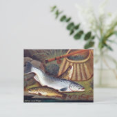 Oud Briefkaart - Zalm en forel (Staand voorkant)