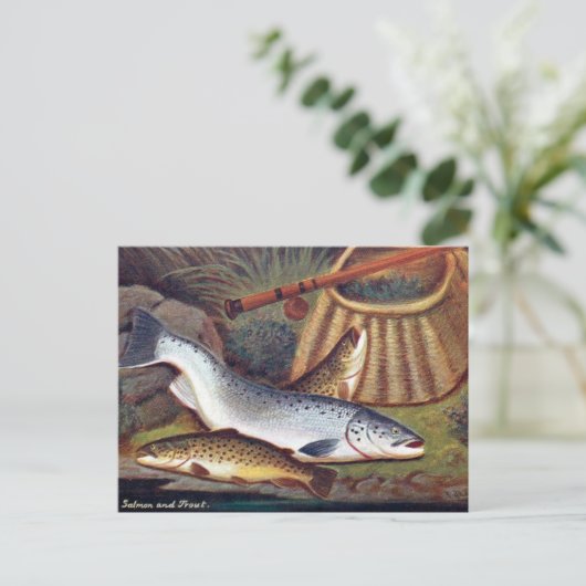 Oud Briefkaart - Zalm en forel (Staand voorkant)