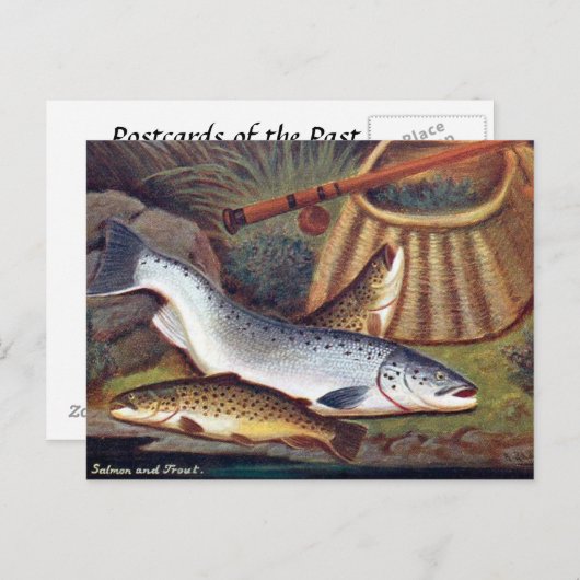 Oud Briefkaart - Zalm en forel (Voorkant / Achterkant)