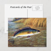 Oud Briefkaart - Zwarte tas (Voorkant / Achterkant)