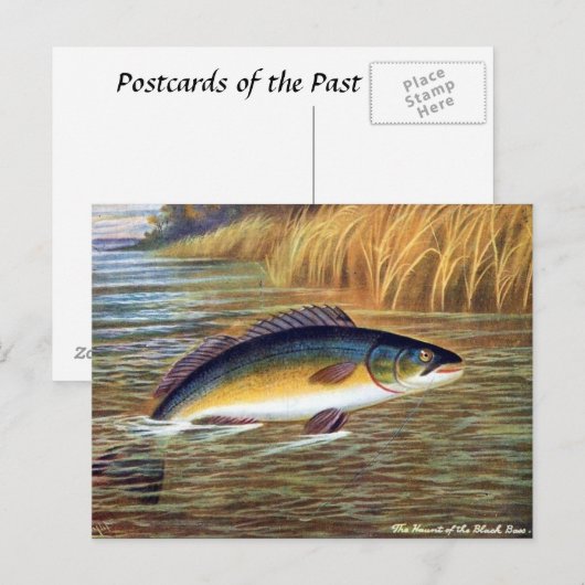 Oud Briefkaart - Zwarte tas (Voorkant / Achterkant)