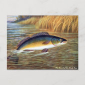 Oud Briefkaart - Zwarte tas (Voorkant)