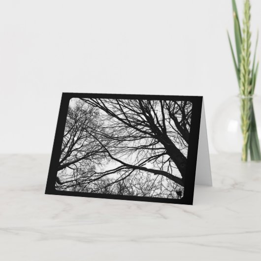 Oud en Nieuw & Zonnewende: Sneeuwval op Esdoorn Feestdagen Kaart (Voorkant)