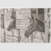 oud en stabiel paardenpapier tissuepapier (Voorkant)