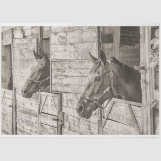 oud en stabiel paardenpapier tissuepapier (Voorkant)