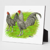 Oud Engels Game Barred Chickens Fotoplaat (Zijkant)