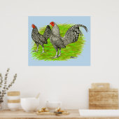 Oud Engels Game Barred Chickens Poster (Keuken)