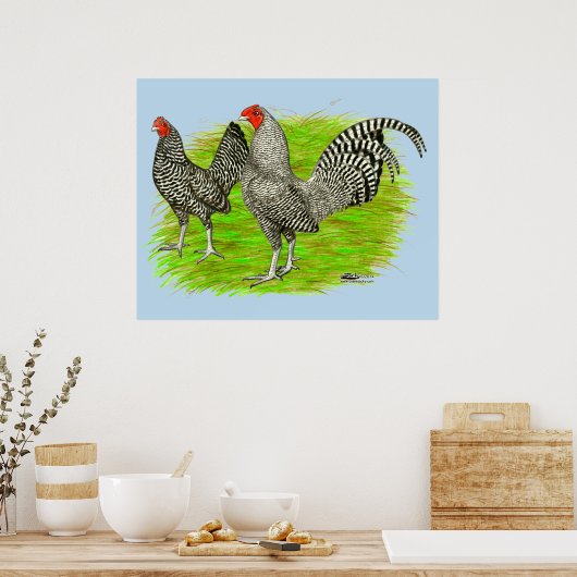 Oud Engels Game Barred Chickens Poster (Keuken)