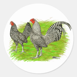 Oud Engels Game Barred Chickens Ronde Sticker