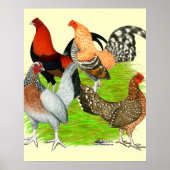 Oud Engels Game Quartet Poster (Voorkant)