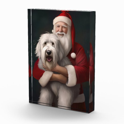 Oud Engels herdershond met sinterklaas feestelijk Fotoblokken (Rechts)