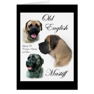 Oud Engels Mastiff Gifts